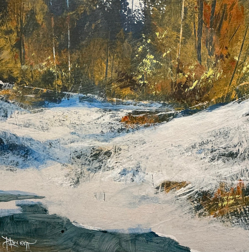 Woodland Stream